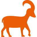 मकर